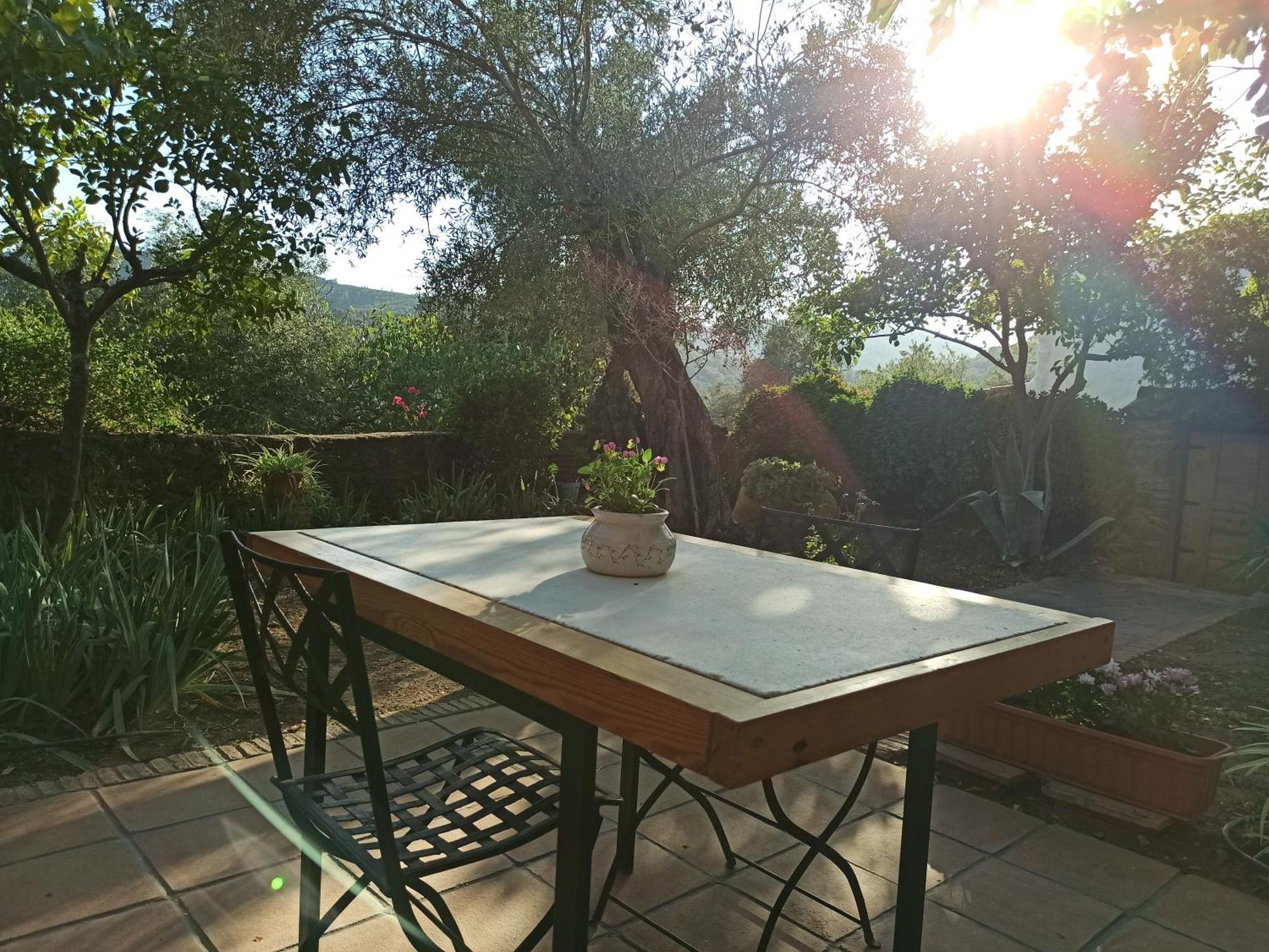 El Lucero Guest House Alájar Eksteriør bilde