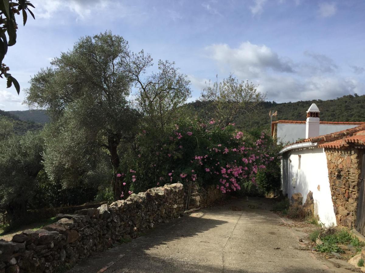 El Lucero Guest House Alájar Eksteriør bilde
